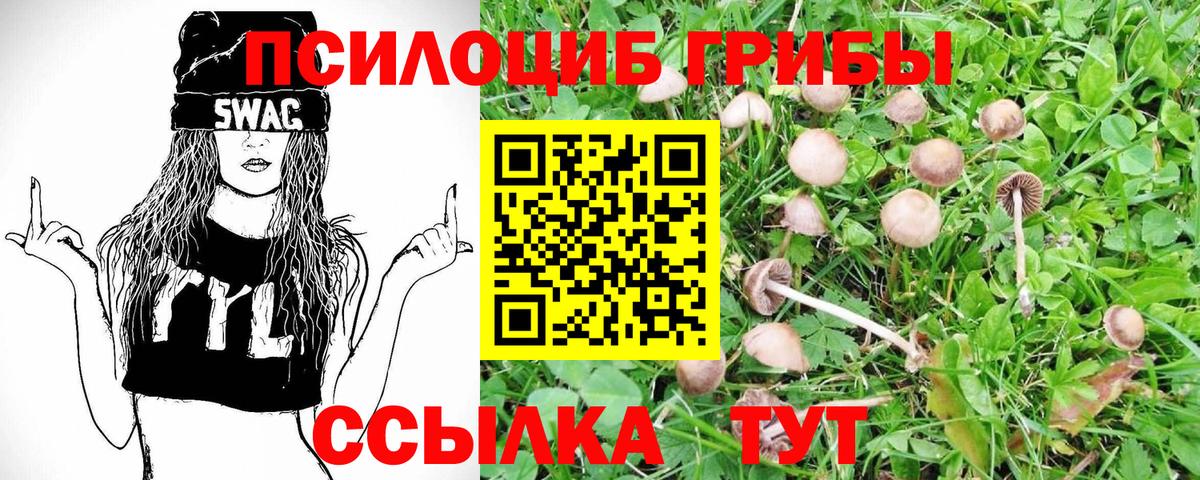 Галлюциногенные грибы Psilocybe Маркс